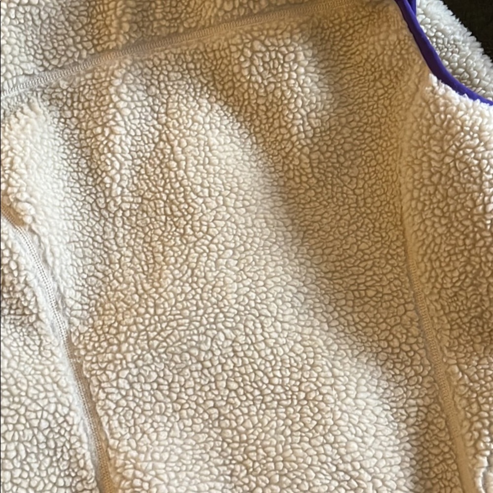 Patagonia Vest